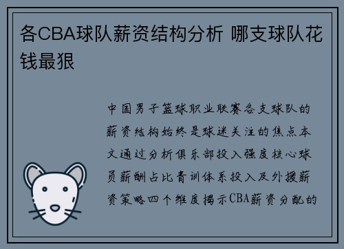 各CBA球队薪资结构分析 哪支球队花钱最狠